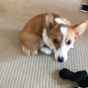 Meet your Posher, Jackie